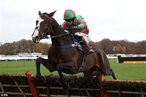 my racing tips tomorrow|robin goodfellow tips for tomorrow.
